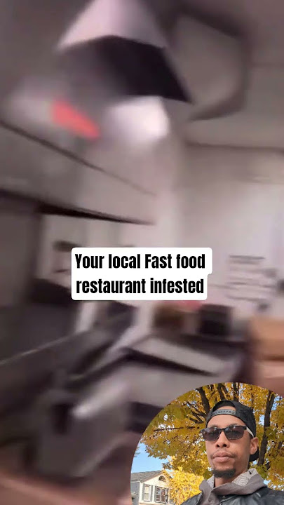 Rats infest restaurant #viralvideo #explorepage #fyp