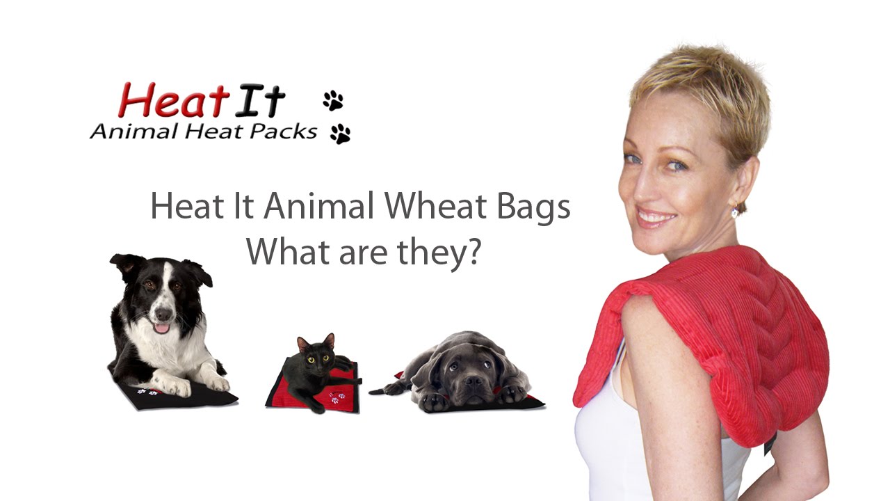 Wheat Bags Australia® Heat It Animal Wheat Bags What are they? YouTube