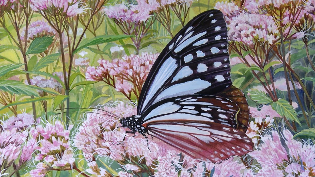 Mai Takahashi] Her realistic and detailed insect illustrations are