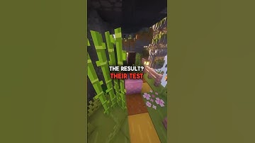 Mastering Memory with Spaced Repetition