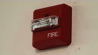 1-Hour Loud Fire Alarm Sound Effect | Wheelock