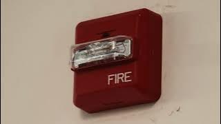 Efek Suara Alarm Kebakaran Keras Selama 1 Jam | Wheelock