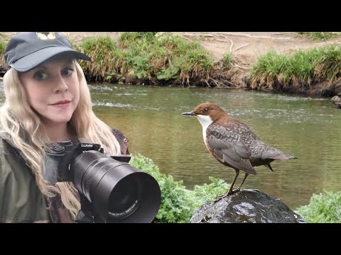 Related Embedded Video Item Thumbnail