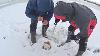 Здесь Нужен Багор, Иначе Её Не Достать! Рыбалка В Лютый Снегопад