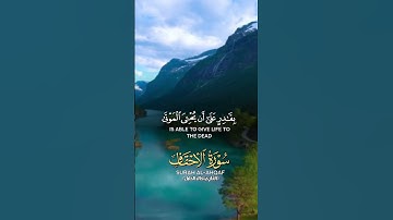 سورة الأحقاف. #اكسبلور #القرآن_الكريم #تلاوة_خاشعة