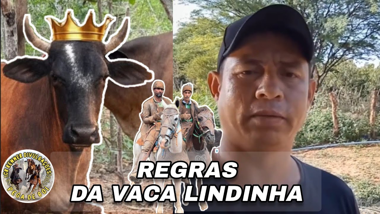 Regras da Vaca lindinha, Dono da Vaca Lindinha Explica a Carreira de Pavão e Ruan 