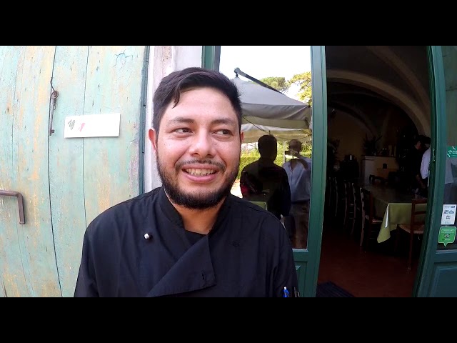 Degustazione Olio Extra Vergine d’Oliva