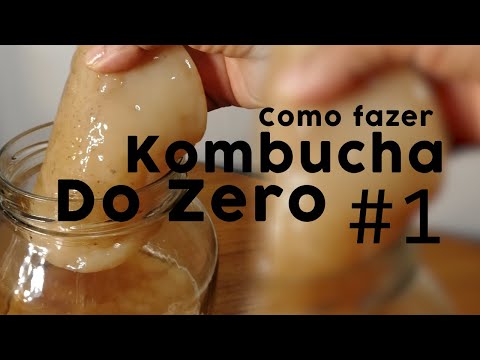 Vídeo: Como cultivar kombucha do zero?