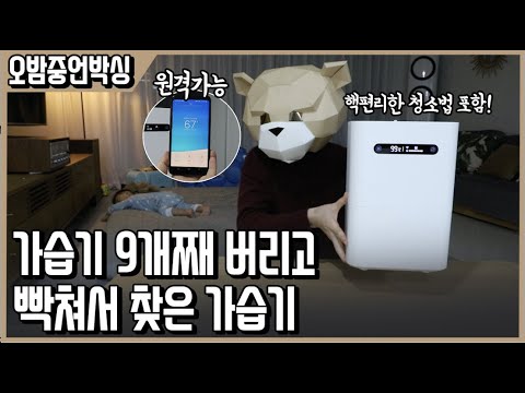 Update New 어쩌면 애기있는 집에 완벽한 가습기! 샤오미 기화식 가습기 2세대 ㅣ오밤중언박싱