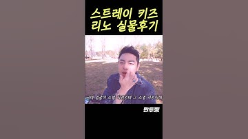 (Eng) 솔직한 리노 실물 후기💙 Stray Kids member LEE KNOW a story that we met in real life #스트레이키즈 #Stray Kids