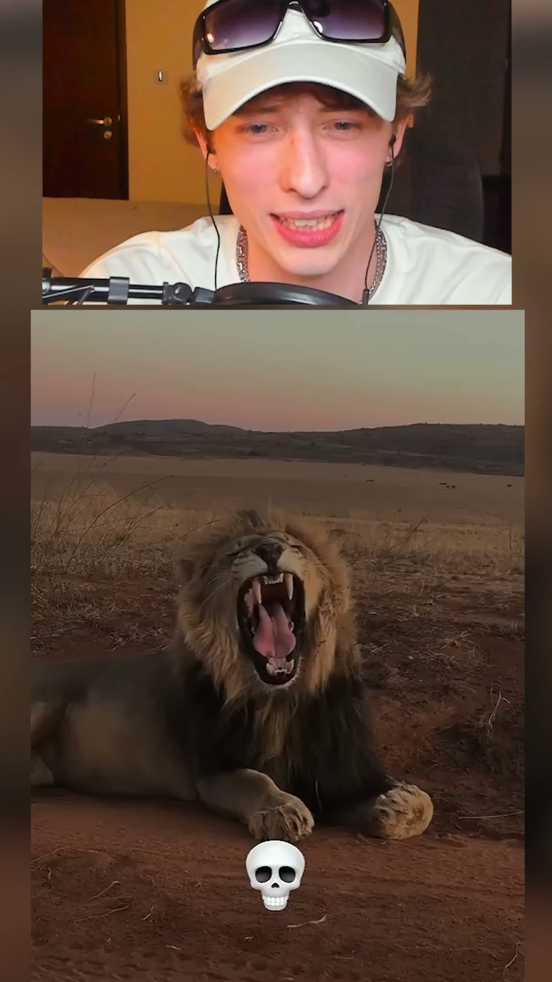 El poder de la transformación ANIMALES?