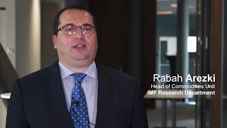 Dealing with commodity price fluctuations