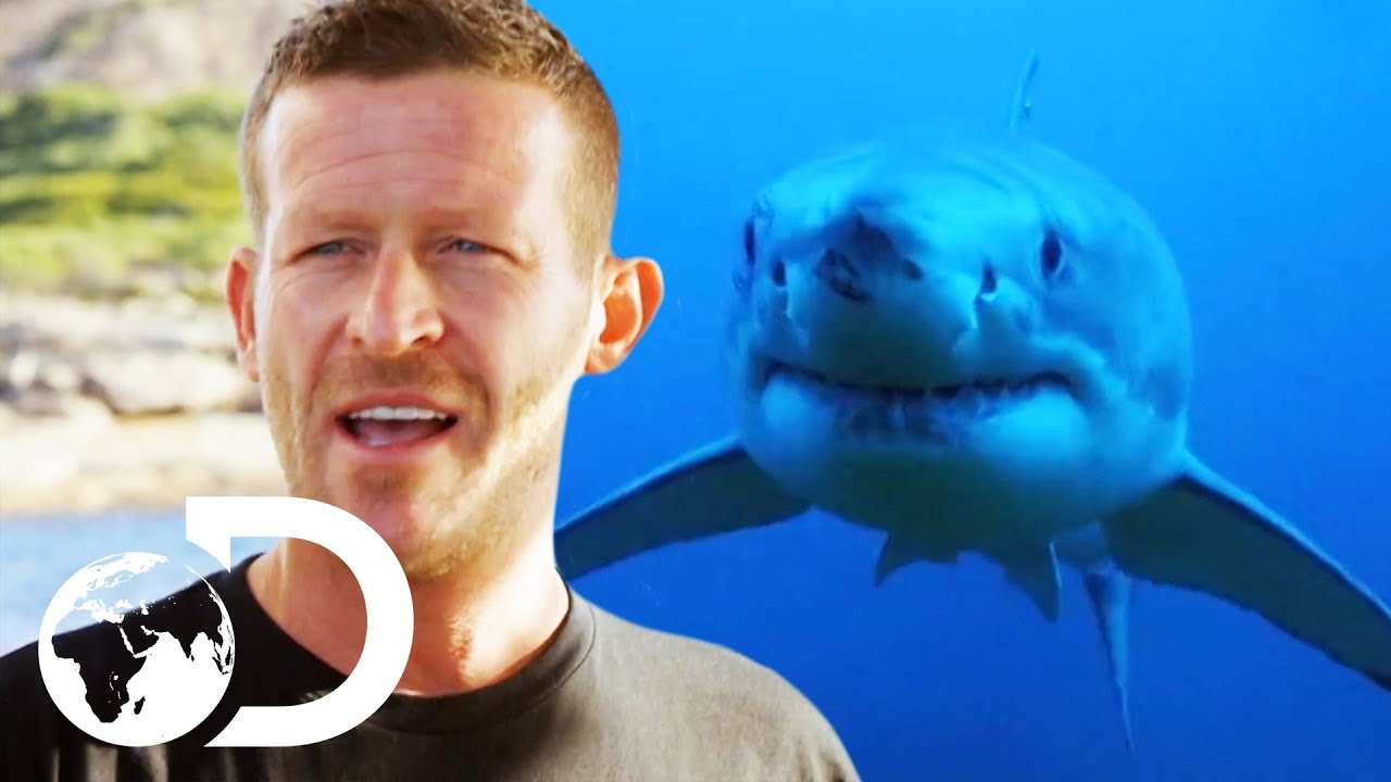 Enraged Shark Attacks Group Of Deep Sea Divers | Isle Of Jaws: Blood Brother