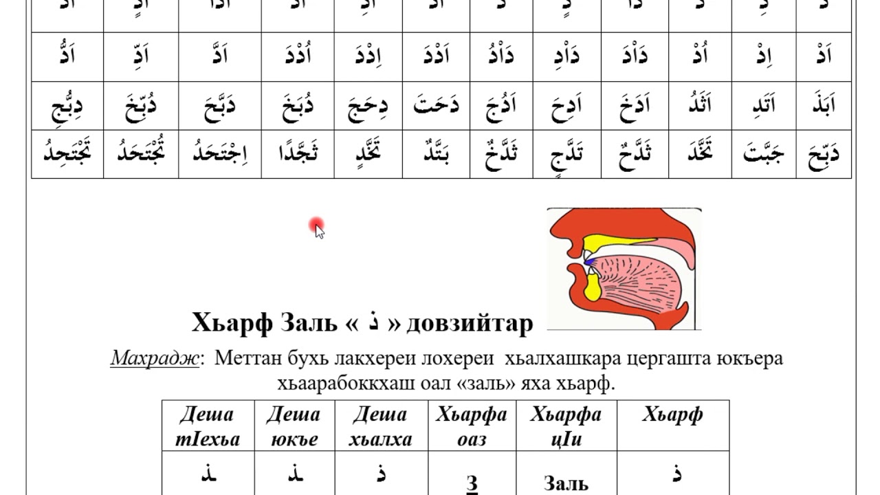 Изучаем арабский язык с нуля самостоятельно