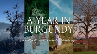 A year in Burgundy renovating our French farmhouse