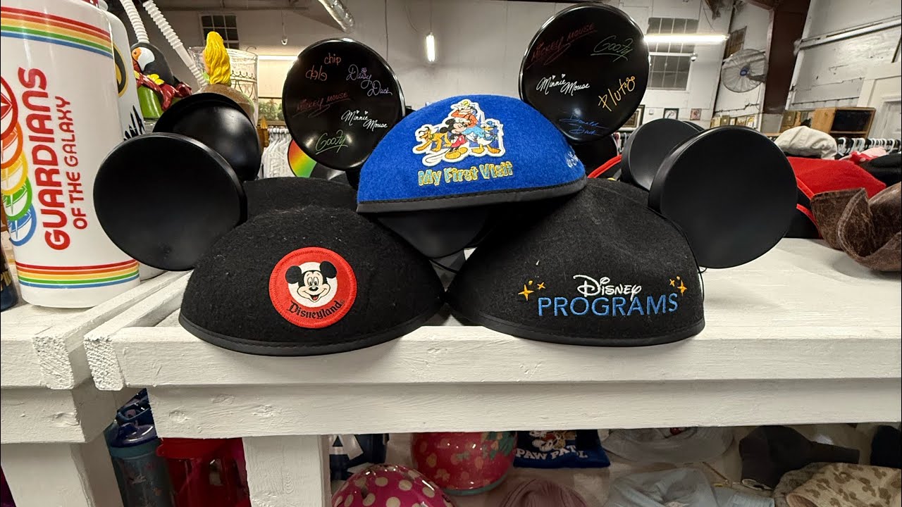 Best or Bust? A little thrifting for Disney Treasure….