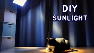 DIY Artificial Sunlight for My Cats by NoLi 9,083 views 3 years ago 2 minutes, 53 seconds