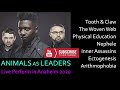 ANIMALS AS LEADERS - LIVE PERFORM IN ANAHEIM 2020 (HQ Audio) #AAL #animalsasleaders #mattgartska