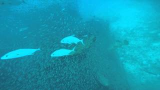 GOPR0718.MP4