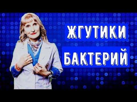 Видео: Посредством флагела?