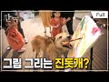 [Full] 한국기행 - 나의 친애하는 동물 친구들 제5부 함께 오래오래