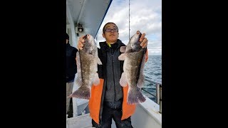 Player Profile Party Boat Blackfish Tautog Sheepshead Bay - Ocean Eagle V