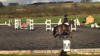 Orla Beaver Hall 70cm 19 Jan 14 (part1)