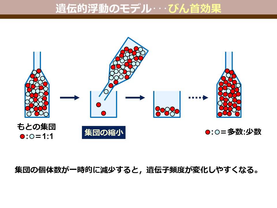 もらえますか？遺伝的素因を説明する