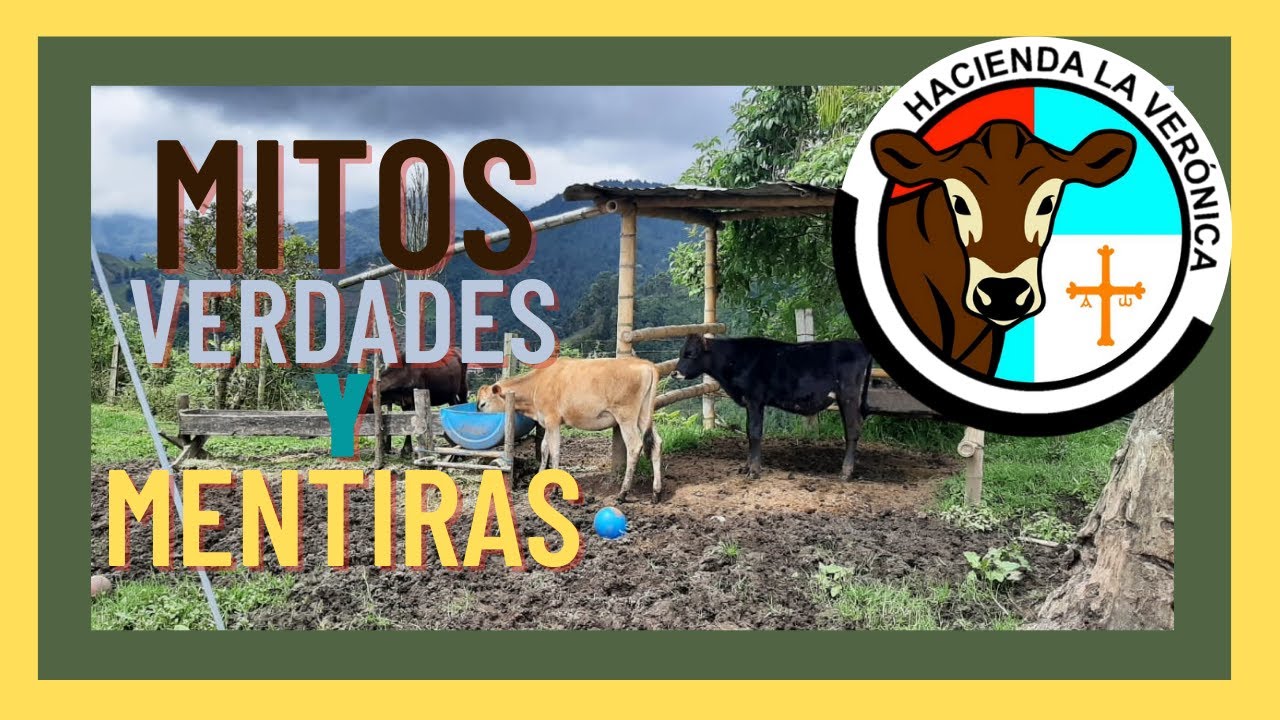 MITOS, VERDADES Y MENTIRAS