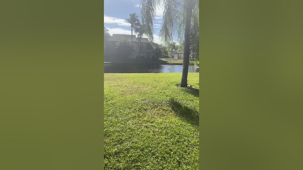 Mirror Lake Condo YouTube