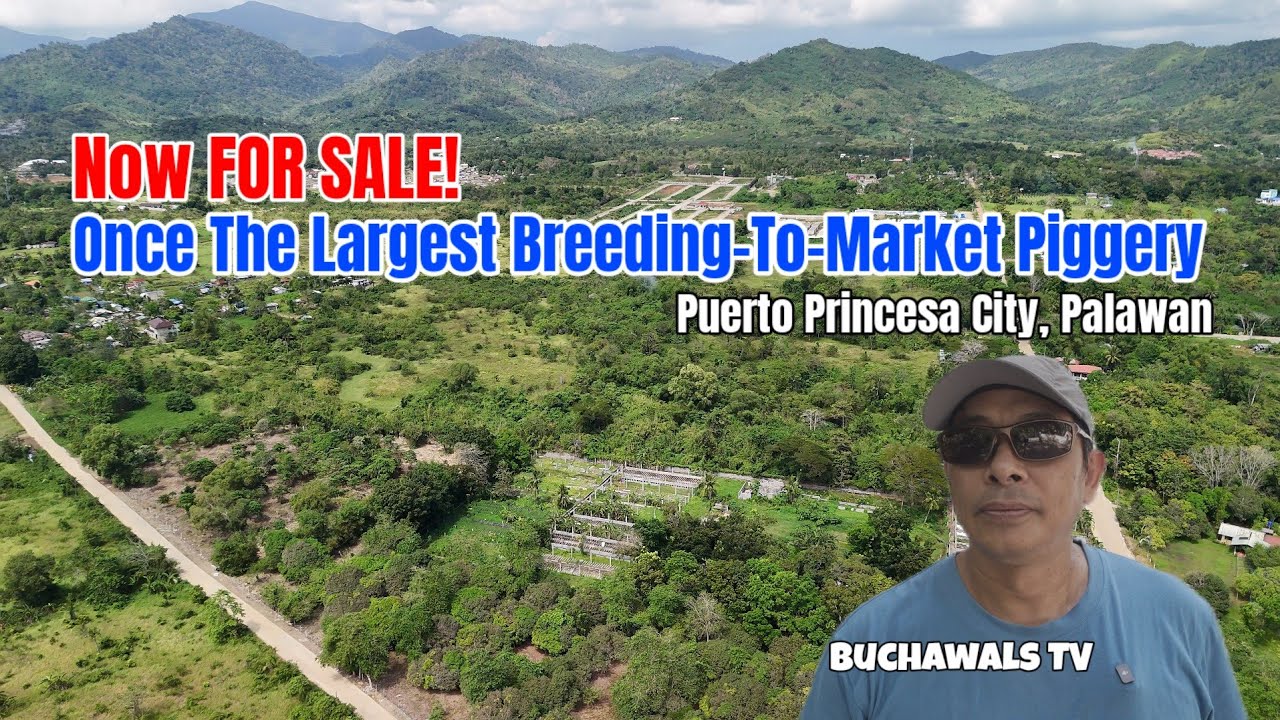 9.7 Has. Ideal for Residential Subdivision or Mixed Use Commercial/Industrial Development 