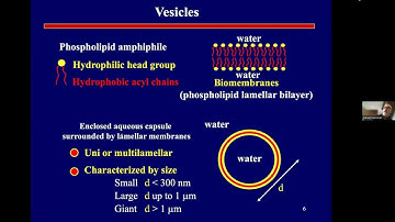 Build-a-Cell seminar Daniel A. Hammer: Synthetic Motile Cells and Designer Membraneless Organelles