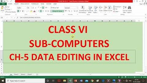 class 6 chapter 5 data editing in Excel
