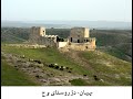 گلهای تازه 56 افشاری گلهای تازه 56 افشاری