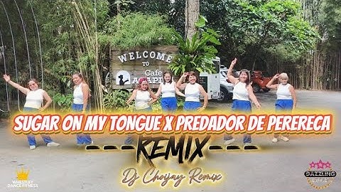 SUGAR ON MY TONGUE X PREDADOR | DJ CHOIJAY REMIX | DANCE  WORKOUT | DAZZLING DIVAS |