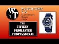 Citizen Promaster Professional Review BN0151-09L