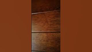 My room at Homestay Bok Bak Kupang Kedah