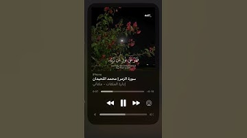 سورة الزمر 💥🥀 || محمد اللحيدان #قرآن ..