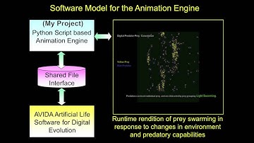 Visualization of Swarming Co-evolution for Digital Prey and Predators
