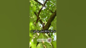 #المصحف #قرآن_كريم #القارئ #هارون #اسلام_ #ياسر_الدوسري #راحة_نفسية #صوت_جميل #اناشيد#القدس