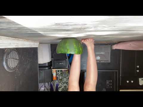 Giantess Stomp