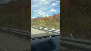 Наша красивая осень 🍂