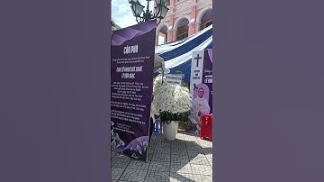 Tang lễ Cha cố PX Lê Văn Nhạc - Đức Cha Phụ tá Giuse Bùi Công Trác chủ tế  #tgpsg  #nămthánh2025