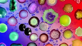 Top germ hotspots at home