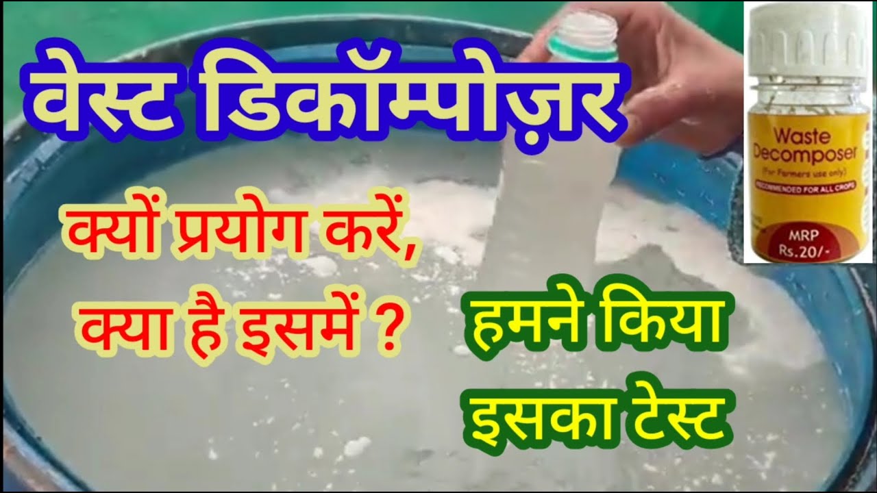 227. WD क्या है और क्या फायदे है इसके? Analysis of WD culture and its benefits