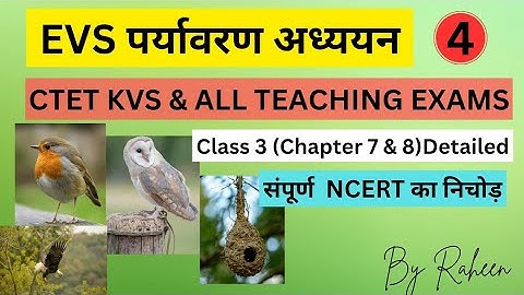 NCERT EVS Class 3 पर्यावरण अध्ययन Facts About Birds| #EVS #CTET  #KVS #ctetpreparation #facts #study