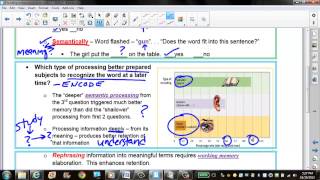 Memory AP Encoding   Semantic