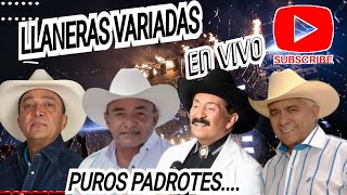 Llaneras Variadas En Vivo, Vitico Castillo, Armando Martinez, Jorge Guerrero Y Reynaldo Armas Musica