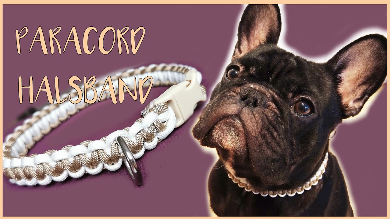PARACORD HUNDEHALSBAND | Schritt fr Schritt