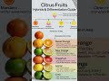 Citrus Fruits Hybrid Family Tree Explained in 15 Seconds! 🍊 #CitrusFruits #Orange #Lemon #Lime